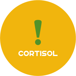 HORMONE-ROUND-CORTISOL