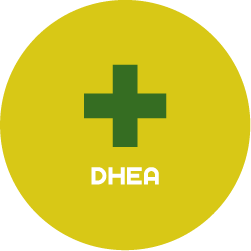 HORMONE-ROUND-DHEA