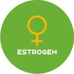 HORMONE-ROUND-ESTROGEN