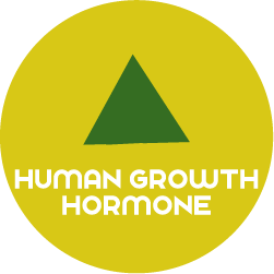 HORMONE-ROUND-HGH