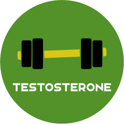 HORMONE-ROUND-TESTOSTERONE
