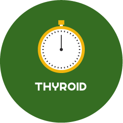 HORMONR-ROUND-THYROID