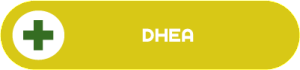 hormone-button-dhea