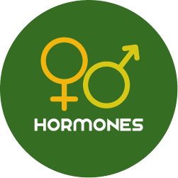 hormones
